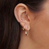 Dôme Hoops