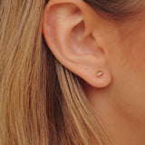 Aurelia Hoops